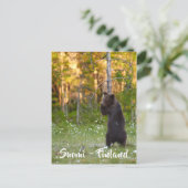 Finse natuur briefkaart (Staand voorkant)