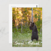 Finse natuur briefkaart (Voorkant / Achterkant)