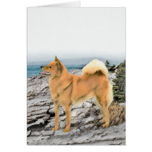 Finse spitz bij Seashore-schilderij - Dog Art