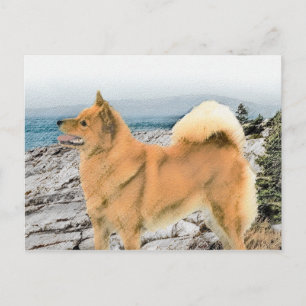 Finse spitz bij Seashore-schilderij - Dog Art Briefkaart