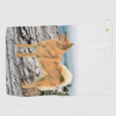 Finse spitz bij Seashore-schilderij - Dog Art Golfhanddoek (Horizontaal)