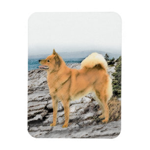 Finse spitz bij Seashore-schilderij - Dog Art Magneet