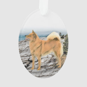 Finse spitz bij Seashore-schilderij - Dog Art Ornament