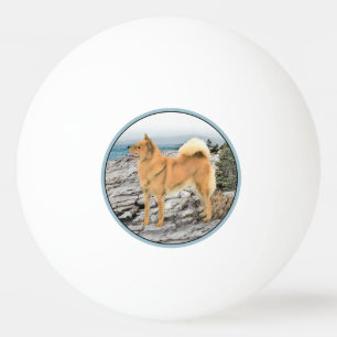 Finse spitz bij Seashore-schilderij - Dog Art Pingpongballen