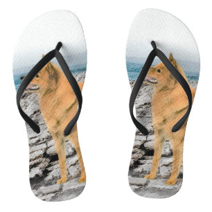 Finse spitz bij Seashore-schilderij - Dog Art Teenslippers