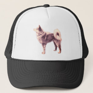 Finse Spitz -  foto Trucker Pet