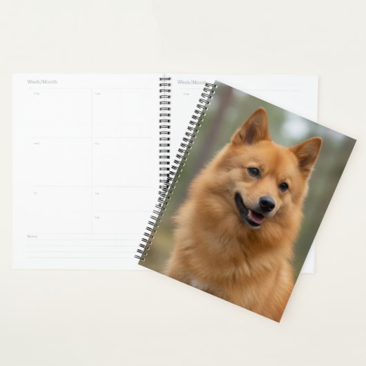 Finse Spitz Planner (Display)