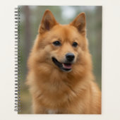 Finse Spitz Planner (Voorkant)