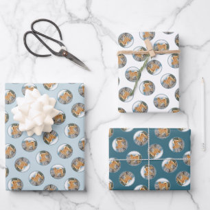 Finse Spitz Seashore Schilderen Originele Hond Kun Inpakpapier Vel