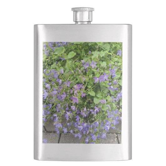 Fiole de jardin de clématite violette (devant)
