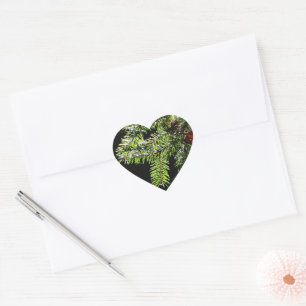 Fir-boom Hart Sticker