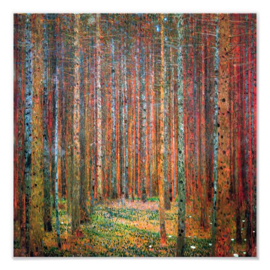 Fir Forest | Gustav Klimt | Foto Afdruk (Voorkant)