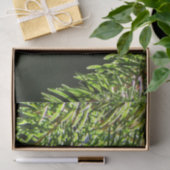 Fir-pijnnaalden met baars tissuepapier (Geschenk)