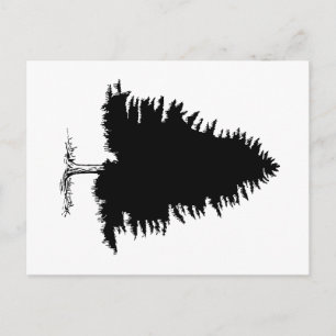 Fir Tree Briefkaart