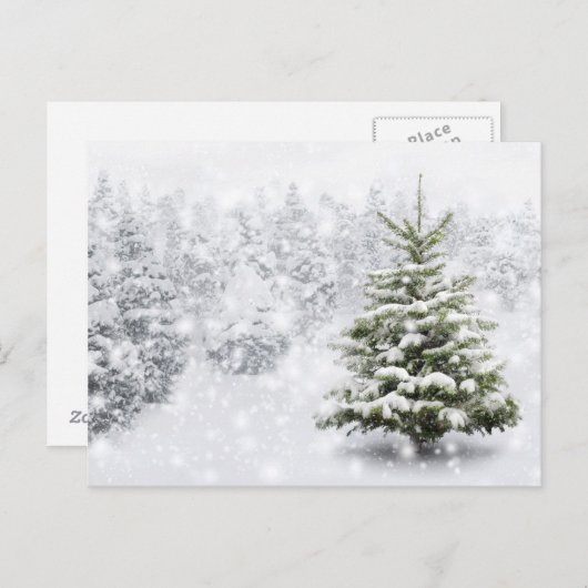 Fir Tree in Thick Snow Briefkaart (Voorkant / Achterkant)