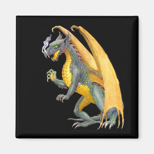 Fire Breading Dragon Magnet Magneet (Voorkant)