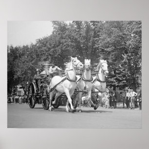 Fire Department Horses, 1925. foto Poster