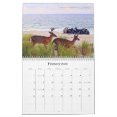 Fire Island 2026 Un Calendrier De 18 Mois (Feb 2026)