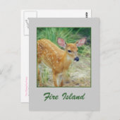 'Fire Island Fawn'-Briefkaart Briefkaart (Voorkant / Achterkant)