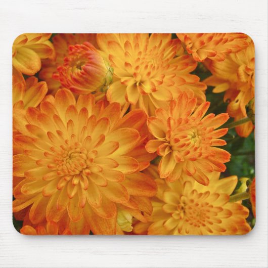 Fire Oranje Chrysanthema Muismat (Voorkant)
