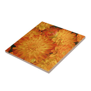 Fire Oranje Chrysanthema Tegeltje