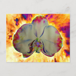 Fire Orchid, abstracte levendige waterverf florale Briefkaart