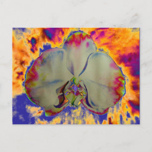 Fire Orchid, abstracte levendige waterverf florale Briefkaart