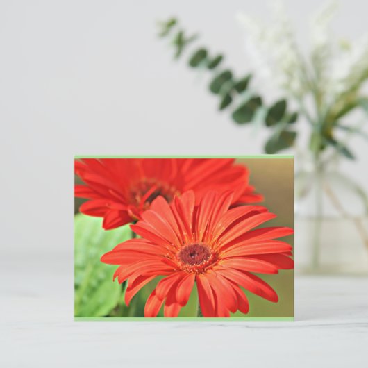 Fire Red Gerbera Daisy, kleurrijke bloem Briefkaart (Staand voorkant)