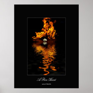 Fire & White Rose Flower Romance Poster