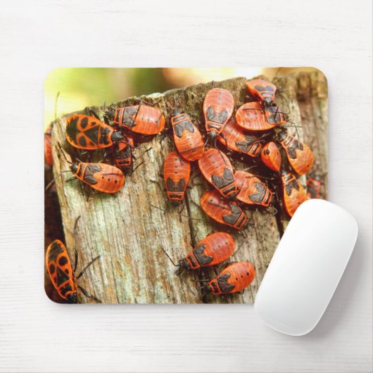 Firebugs Mouse Mat Muismat (Met muis)