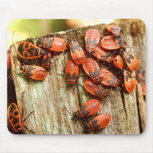 Firebugs Mouse Mat Muismat (Voorkant)