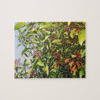 Firebush avec le puzzle de colibri et d'insectes