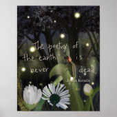 Firefly Sky Poster (Voorkant)