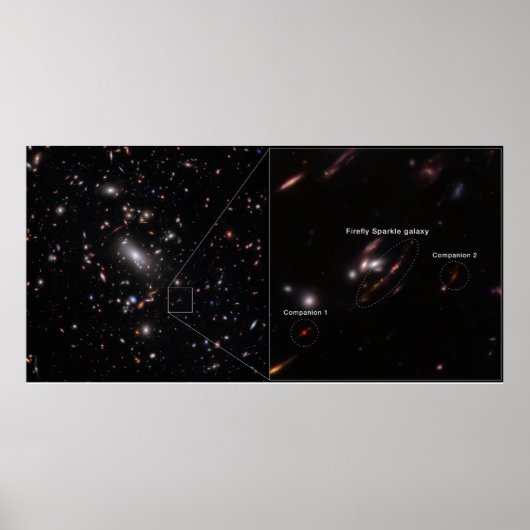 Firefly Sparkle Galaxy Cluster MACS J1423 Poster (Voorkant)