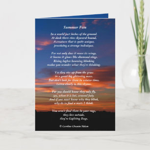 Firefly / Verlichting BugFun Kaart