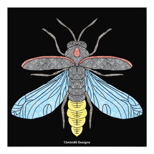 Firefly (zwart) - Fotoprint Foto Afdruk (Voorkant)