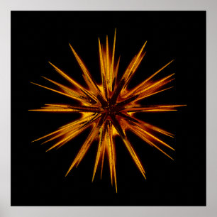 firefmeer poster