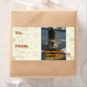 Firefox weigert etiket (Insitu)