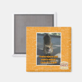 Firefox weigert magneet (Voorkant / Achterkant)