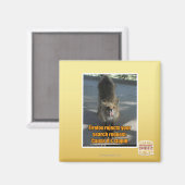 Firefox weigert magneet (Voorkant / Achterkant)