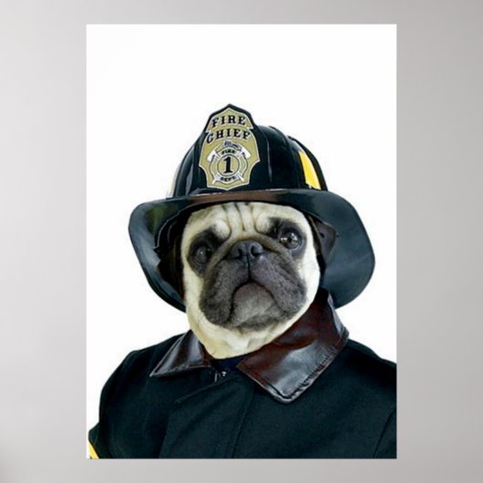 Fireman Pug poster (Voorkant)