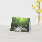 Fires Creek Kaart (Gele Bloem)