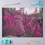 Fireweed 7 tissuepapier (Craft)
