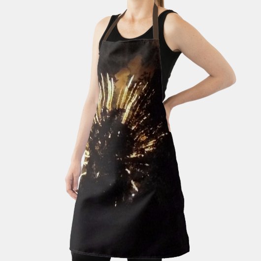 Fireworks 10 tablier chef (Insitu)