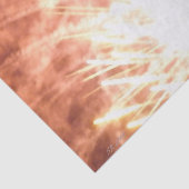 Fireworks 12 tissuepapier (Detail)