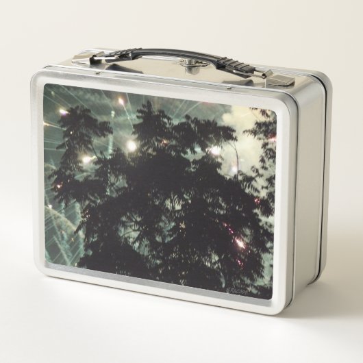 Fireworks 13 lunchbox inoxydable (Dos)