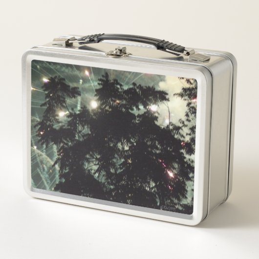 Fireworks 13 lunchbox inoxydable (Devant)