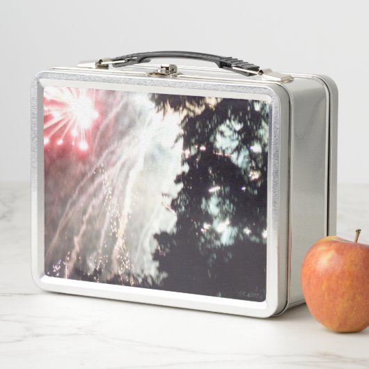 Fireworks 14 lunchbox inoxydable (En situation)