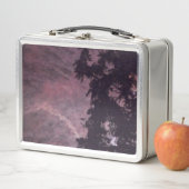 Fireworks 16 lunchbox inoxydable (En situation)