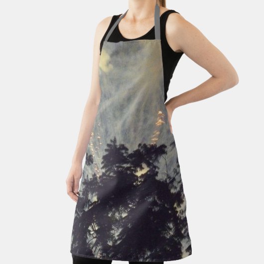 Fireworks 19 tablier chef (Insitu)